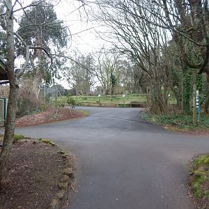 View towards enclosure for Swamp wallabies/Western grey kangaroos 050224