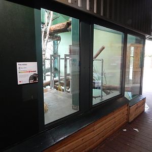 Monkey Heights - King colobus enclosure 050224