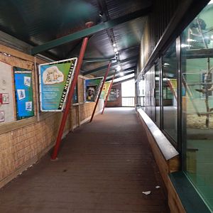 Monkey Heights 050224