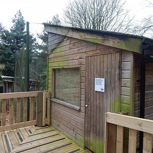 Monkey Heights - Enclosure in preparation for new arrivals 050224