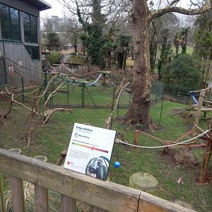 Monkey Heights - King colobus enclosure 050224
