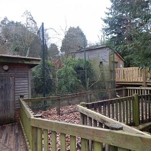 Monkey Heights - Enclosure in preparation for new arrivals 050224