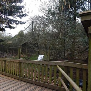 Monkey Heights - Squirrel monkey/Azara's agouti enclosure 050224