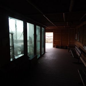 Monkey Heights 050224