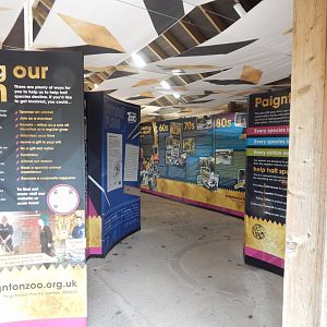 History Display 050224