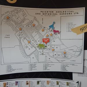 History Display 050224