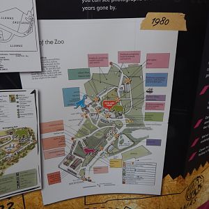 History Display 050224