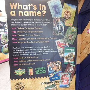 History Display 050224