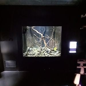 The calm waters of the Rhône