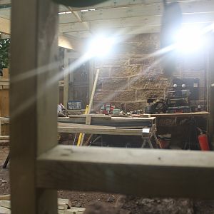 Construction work in Tropical Realm 9th Feb 2024