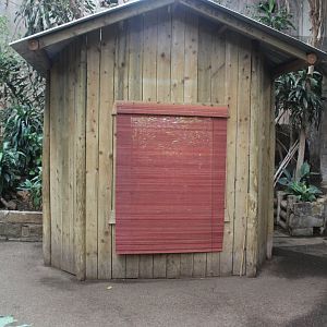 Amphibian Pod Chester Zoo 9th February 2024