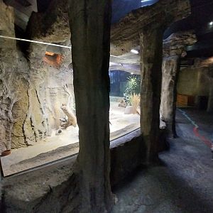 Large rivers of Africa