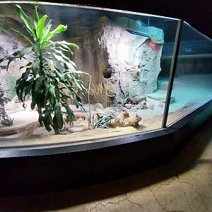 Large rivers of Africa