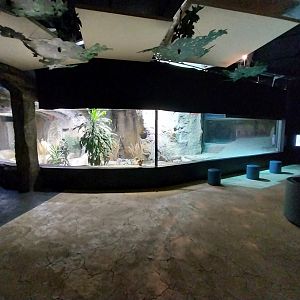 Large rivers of Africa