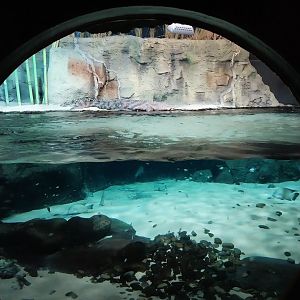 Large rivers of Africa