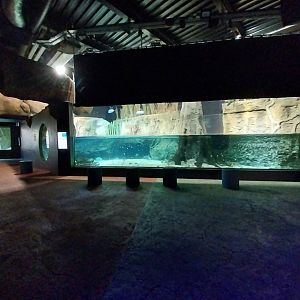 Large rivers of Africa