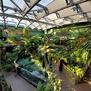 Amazon river aquarium