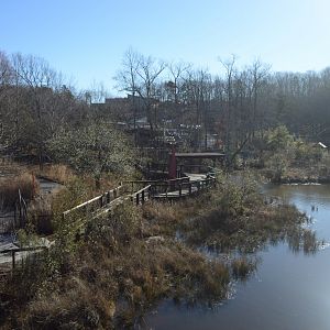 Marsh - Landscape in the Winter