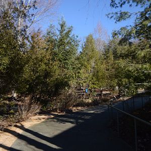 Rocky Coast - Landscaping