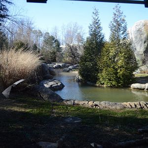 Rocky Coast - Polar Bear Habitat