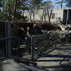 Streamside - New Glass Barrier for the River Otter exhibit