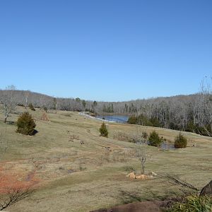 Watani Grasslands in the Winter