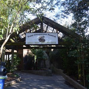 Kibale Forest - Scenery