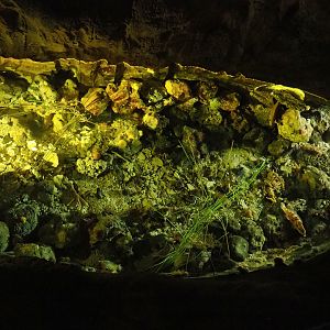 North Sea rock pool, 2023-10-13