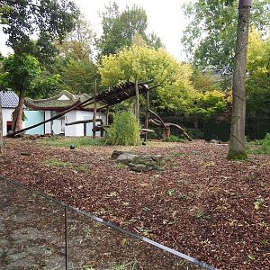 Exhibit for Giant panda twins Bao Mei and Bao Di, Formerly part of Asian black bear exhibit, 2023-10-13
