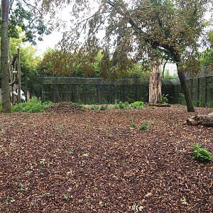 Exhibit for Giant panda twins Bao Mei and Bao Di, Formerly part of Asian black bear exhibit, 2023-10-13