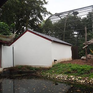 House for Giant panda twins Bao Mei and Bao Di and part of now smaller Asian black bear exhibit, 2023-10-13