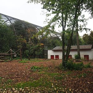 Now smaller Asian black bear exhibit, 2023-10-13