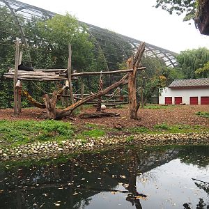 Now smaller Asian black bear exhibit, 2023-10-13