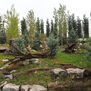 Snow leopard exhibit, 2023-10-13
