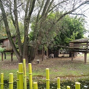 Bharal and Binturong exhibit, 2023-10-13