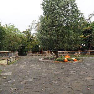 Farm area, 2023-10-13