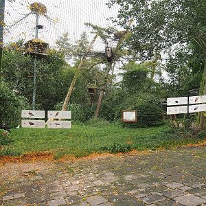 Large mixed raptor and vulture aviary, 2023-10-13