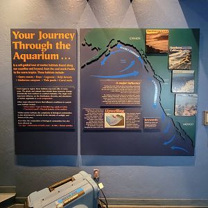 Birch Aquarium - Your Journey Through the Aquarium