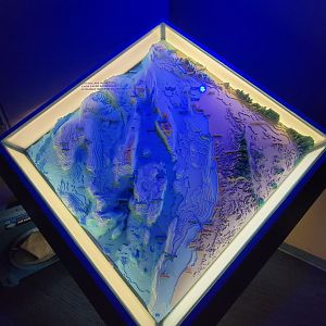 Birch Aquarium - Depth map