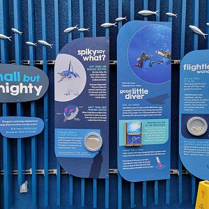 Birch Aquarium - Small but Mighty