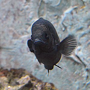 ID Help please? Taken  12 07 2012