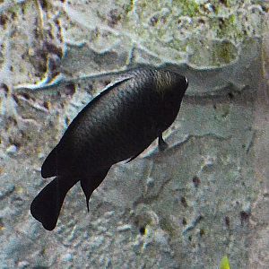 ID Help please? Taken  12 07 2012