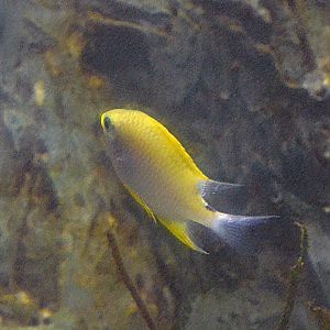 ID Help please? Taken  12 07 2012