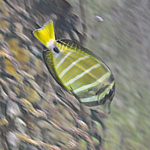 ID Please, taken 30 06 2011