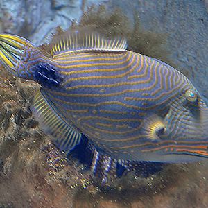 ID Please, taken 30 06 2011