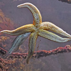 ID Please, taken 30 06 2011