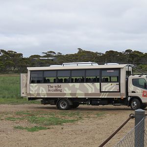 Safari Bus for tours of Wild Africa Area