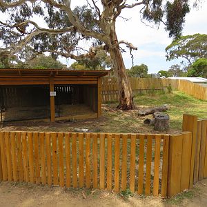 Quokka Exhibit