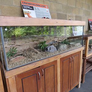 Corn Snake Exhibit