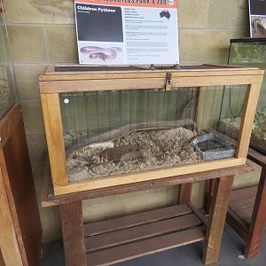 Children's Python Exhibit
